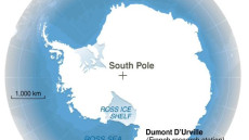 Shokalskiy ice drama will boost interest in Antarctic cruises