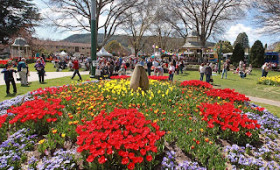 MORE THAN TIP-TOE THROUGH SOUTHERN HIGHLANDS’ TULIP TIME