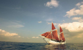 Introducing SeaTrek Sailing Adventures Bali