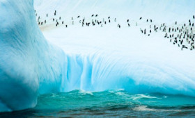 Antarctica: Great Southern Land