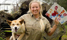Struth! Arty dingo saves bush birds