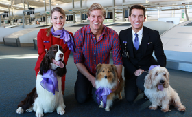 Struth! Airlines gone to the dogs