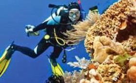 Silversea offers scuba diving on board Silver Discoverer