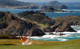 Play the world renowned golf courses of New Zealand