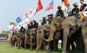 Annual Jumbo Event Aims to Raise Millions  For Thailand’s Elephants