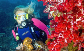 Cruise Weekly: SCUBA divers do it underwater