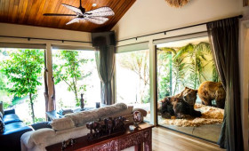 Canberra’s New Luxury Accommodation Jamala Wildlife Lodge Opens for Visitors