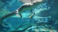What’s new in the Northern Territory